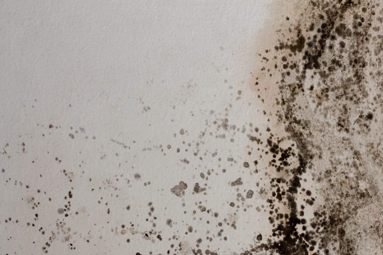 Mold growth linked to a swamp cooler in Yuma, AZ